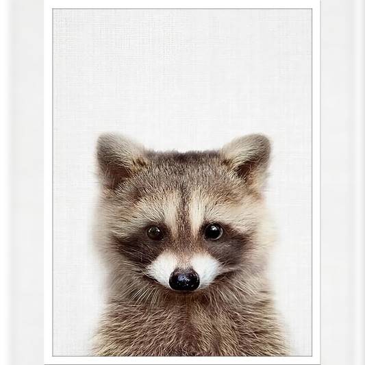 Raccoon Radiance: Whimsical Wildlife Art for Home Decor
